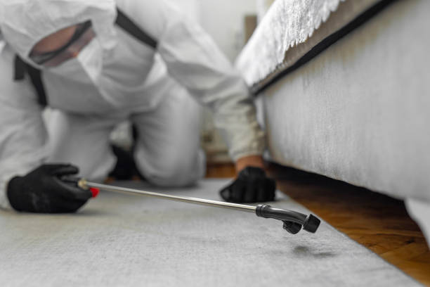 Professional Bed Bug Control technician working in Missoula, MT