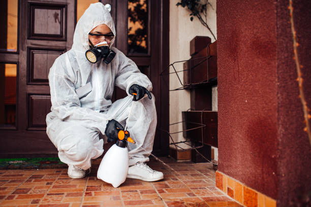 Reliable Bed Bug Control contractor in Missoula, MT by Nex Pest Control
